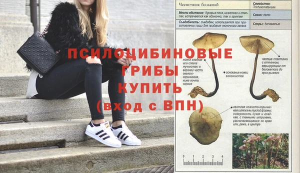 дживик Арсеньев