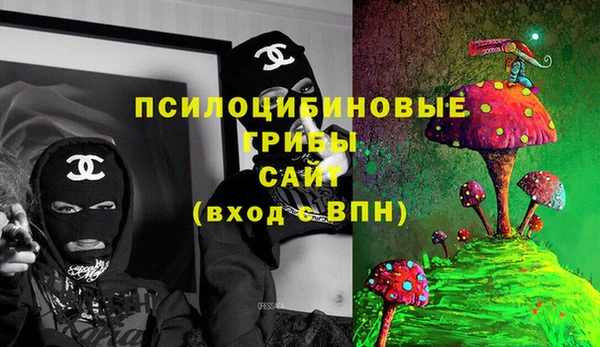 дживик Арсеньев