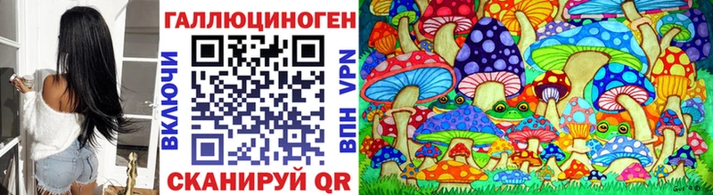 Купить где  Карасук  Галлюциногенные грибы MAGIC MUSHROOMS 